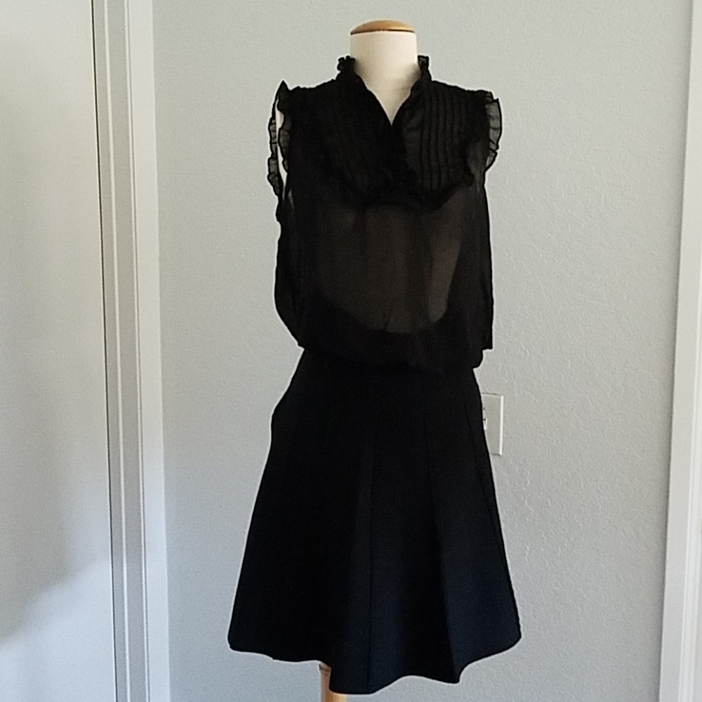 Black skirt and Sheer Top